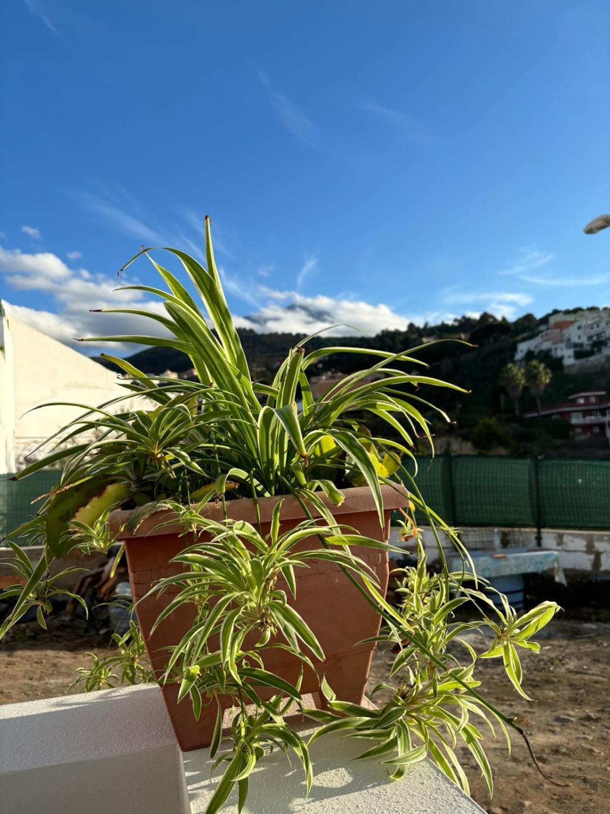 Pensjonat La Trinidad La Guancha Zewnętrze zdjęcie